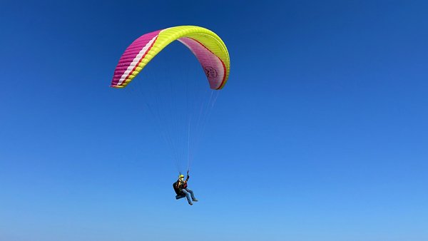Où trouver les meilleures expériences de parapente en Nouvelle-Zélande?